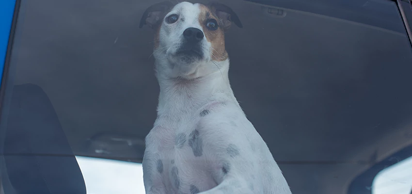 Car Lockout Solutions in Tracy, California